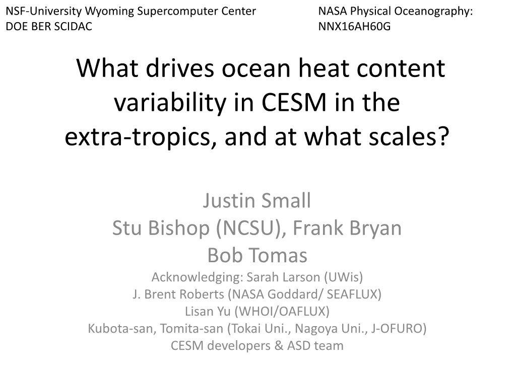What Drives Ocean Heat Content Variability in CESM in the Extra-Tropics, and at What Scales?