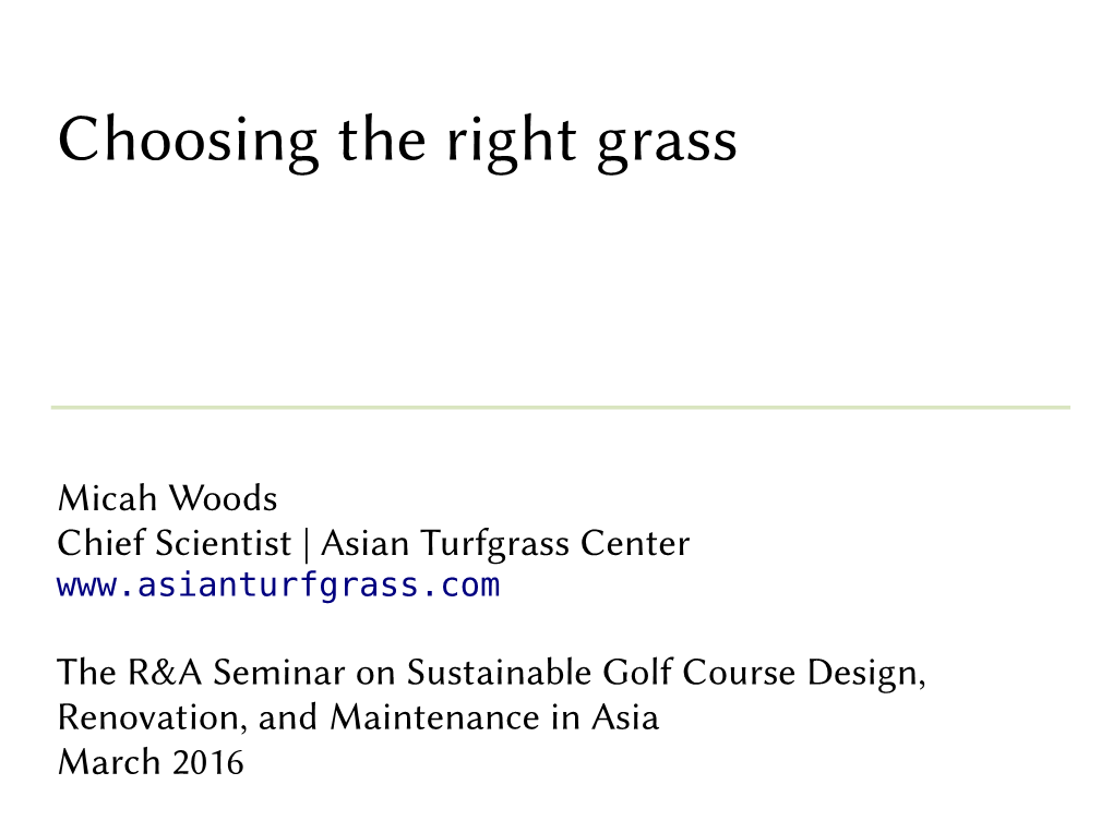 Choosing the Right Grass