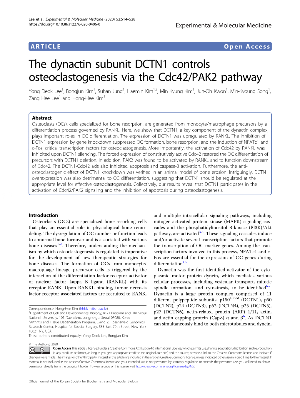 The Dynactin Subunit DCTN1 Controls Osteoclastogenesis Via the Cdc42