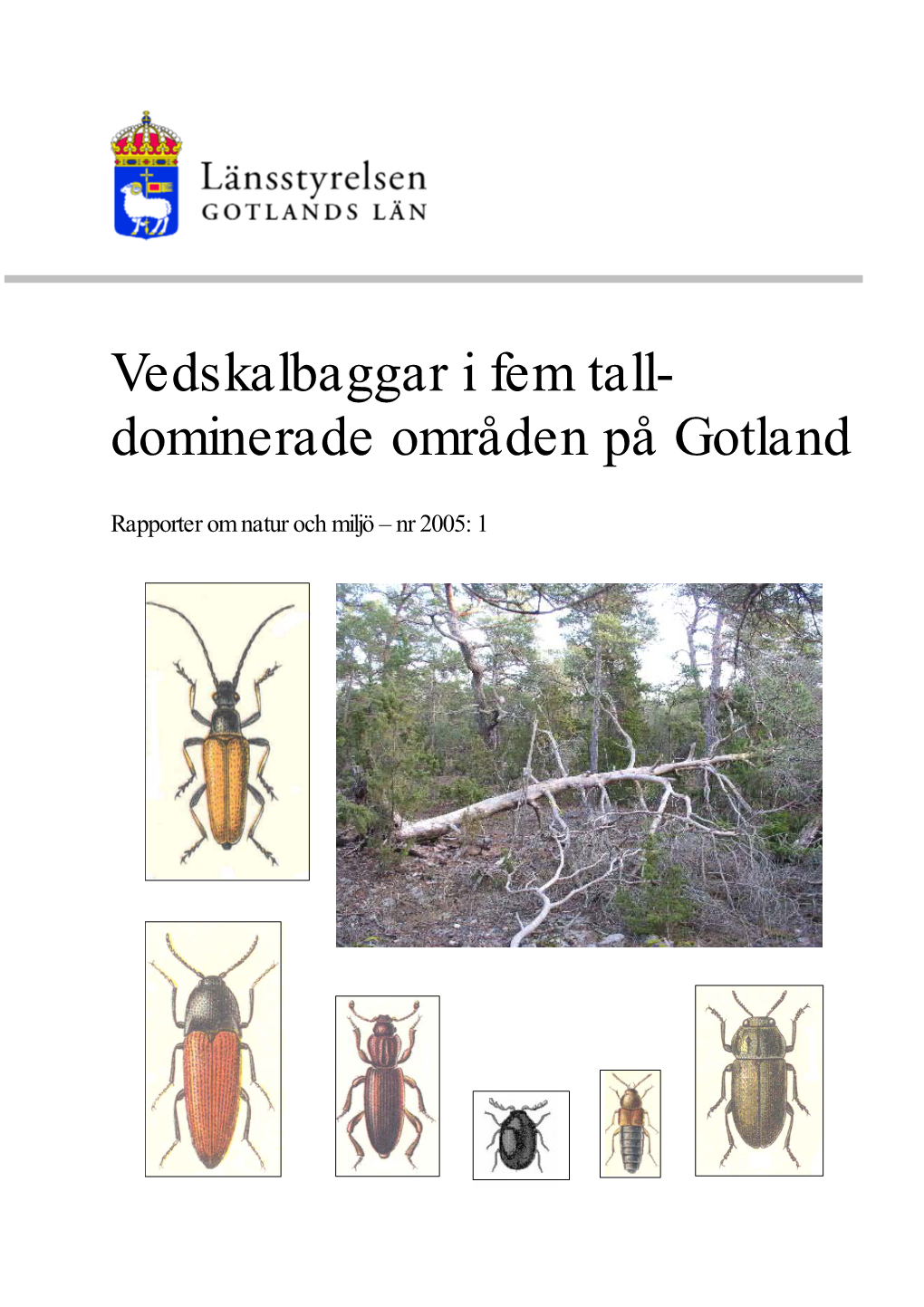 Vedskalbaggar I Fem Tall- Dominerade Områden På Gotland