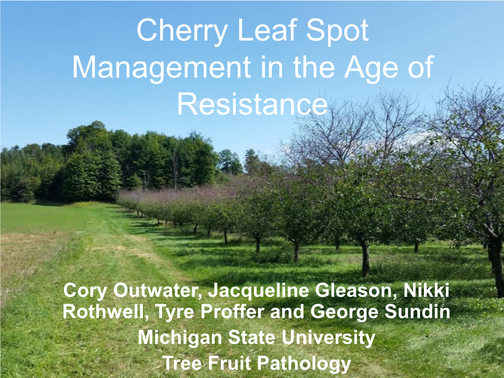 Cherry Leaf Spot Blumeriella Jaapii • Most Important Disease Affecting Tart Cherry Production in the Great Lakes Region