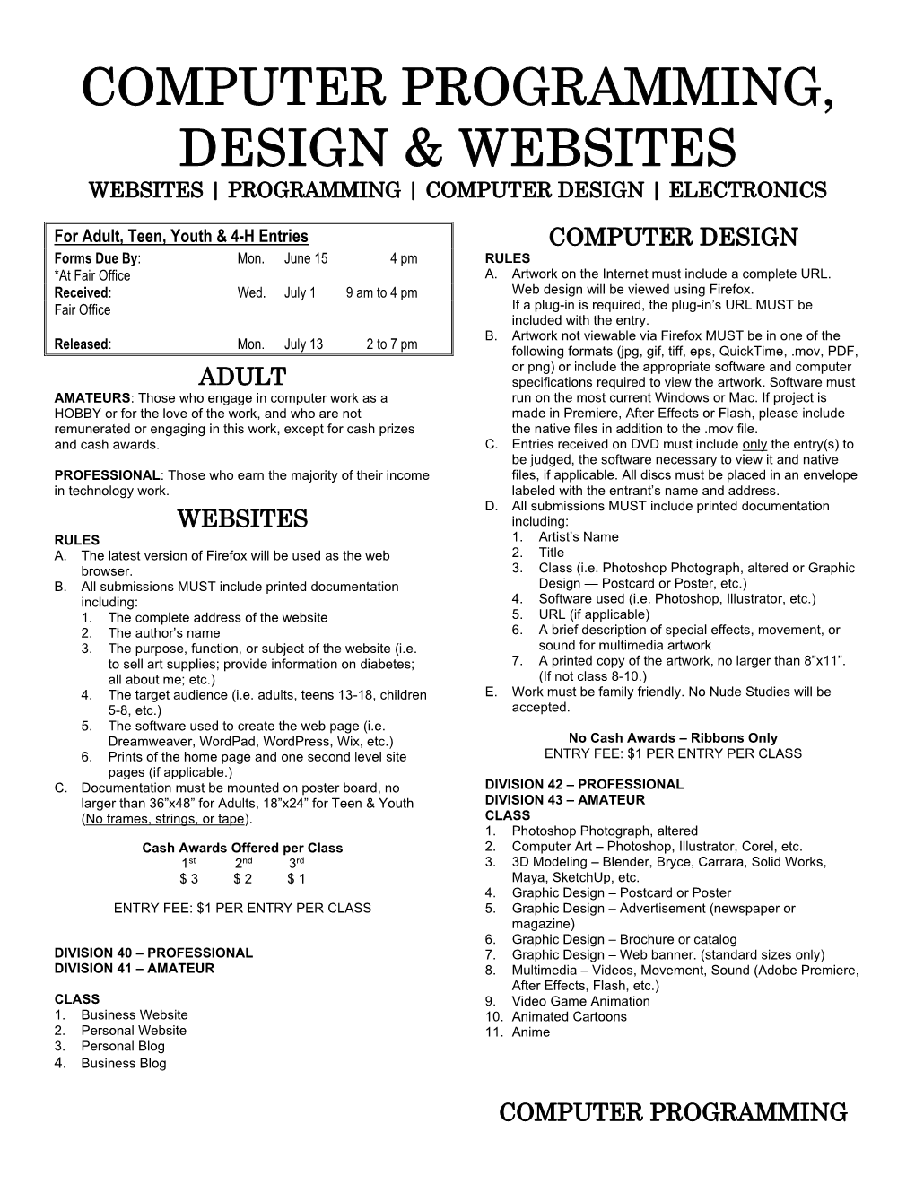 Computer Programming, Design & Websites