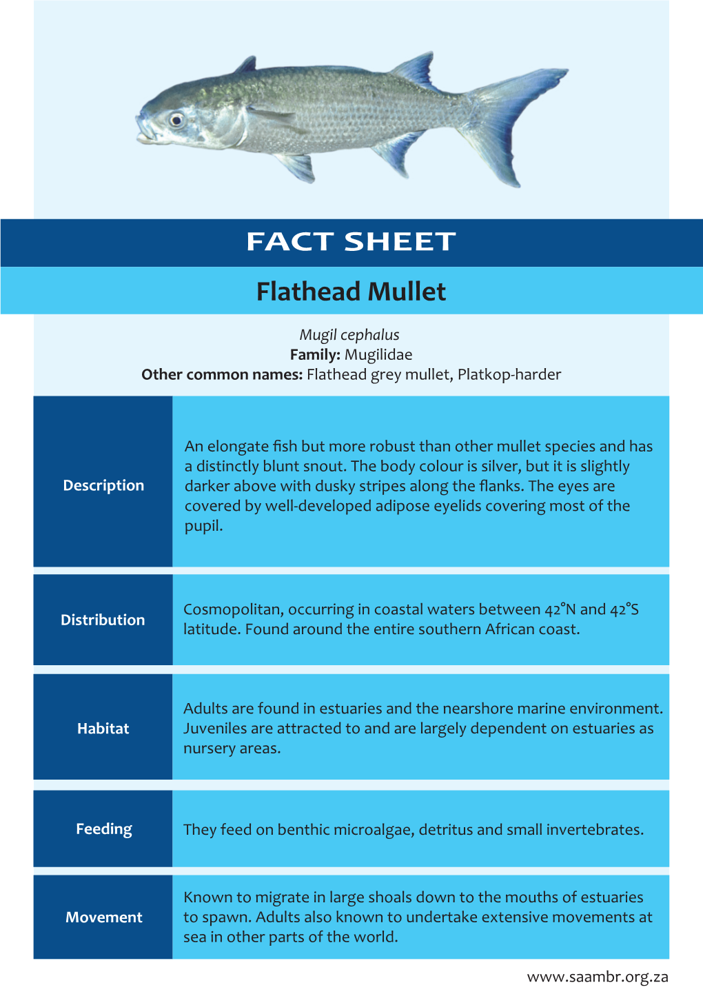 ORI Fish Fact Sheet