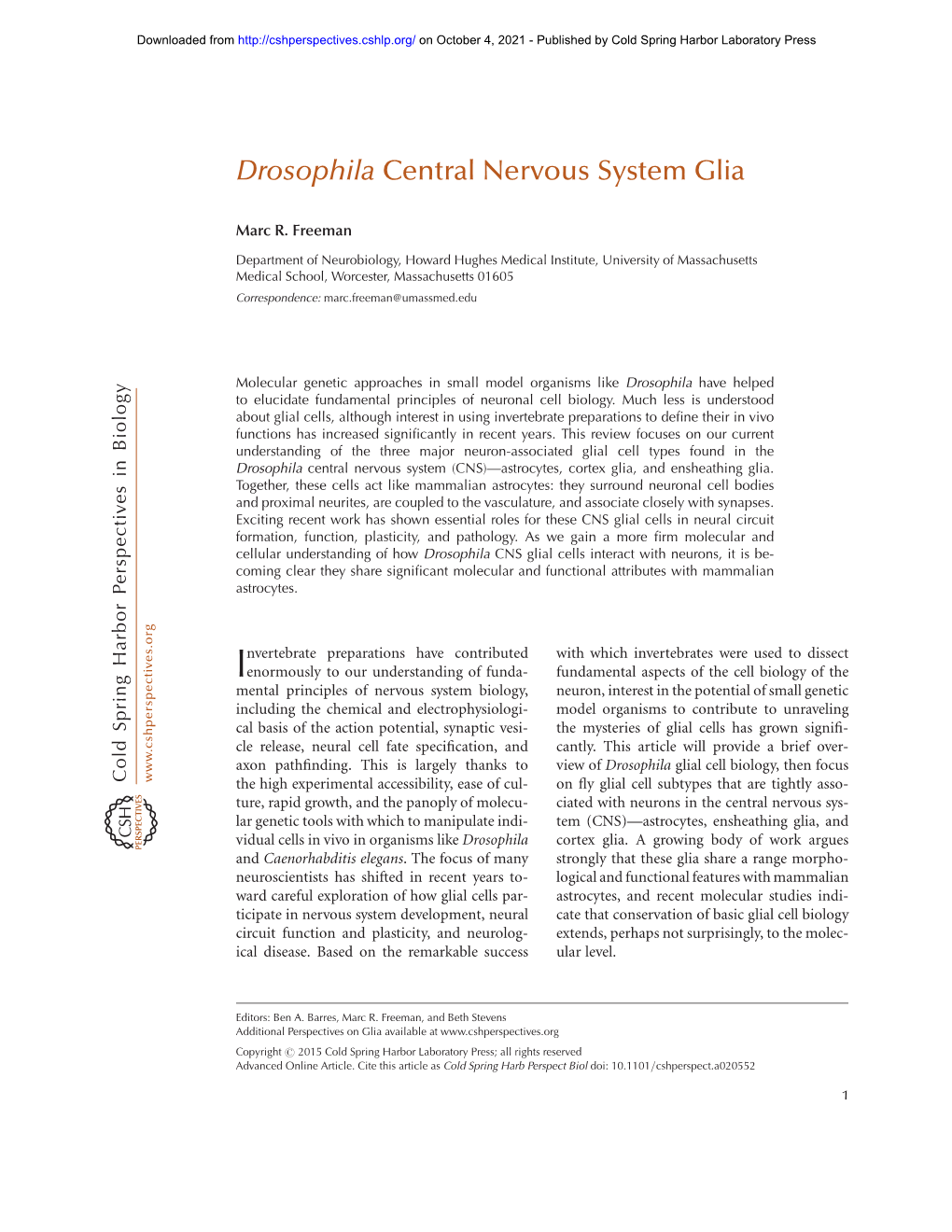 Drosophila Central Nervous System Glia