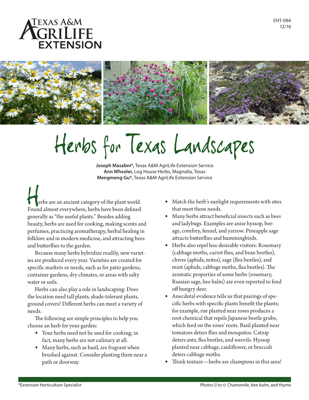 Herbs for Texas Landscapes