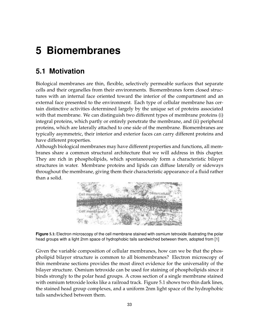 5 Biomembranes