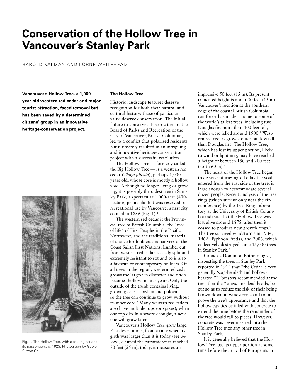 Conservation of the Hollow Tree in Vancouver's Stanley Park