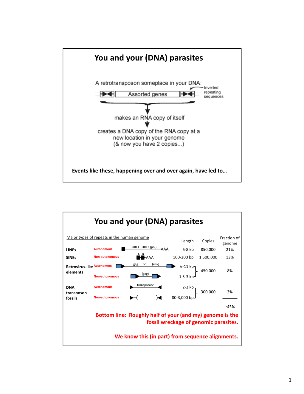 DNA) Parasites