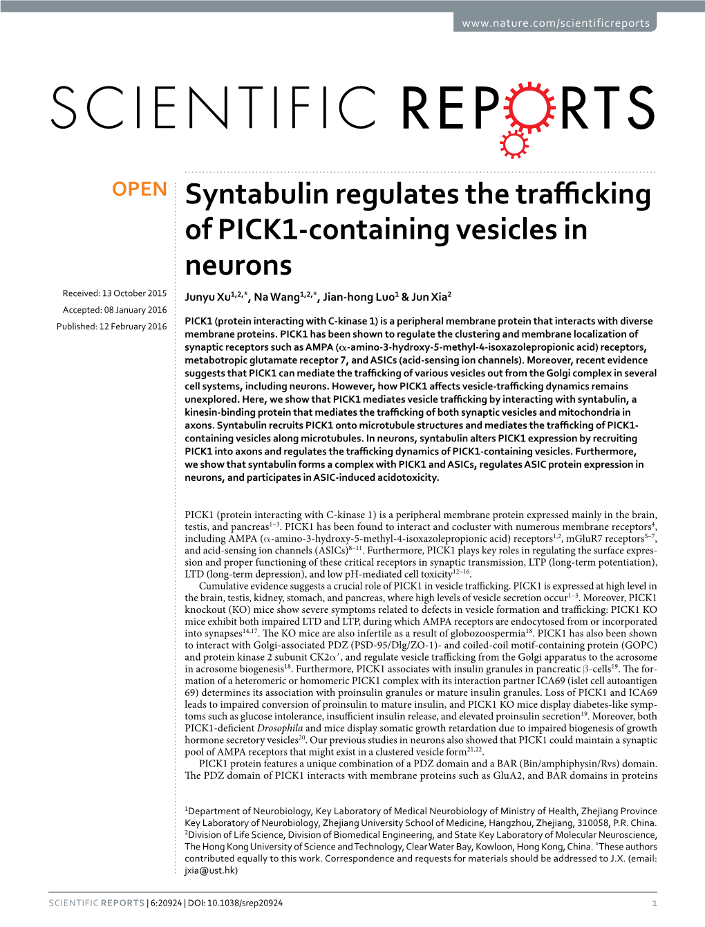Syntabulin Regulates the Trafficking of PICK1-Containing Vesicles in Neurons
