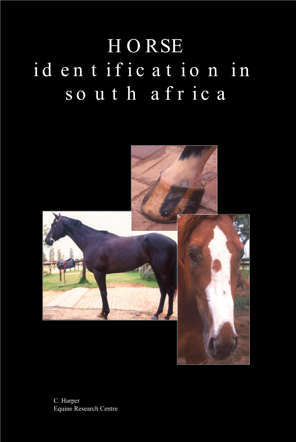 HORSE Identification in South Africa