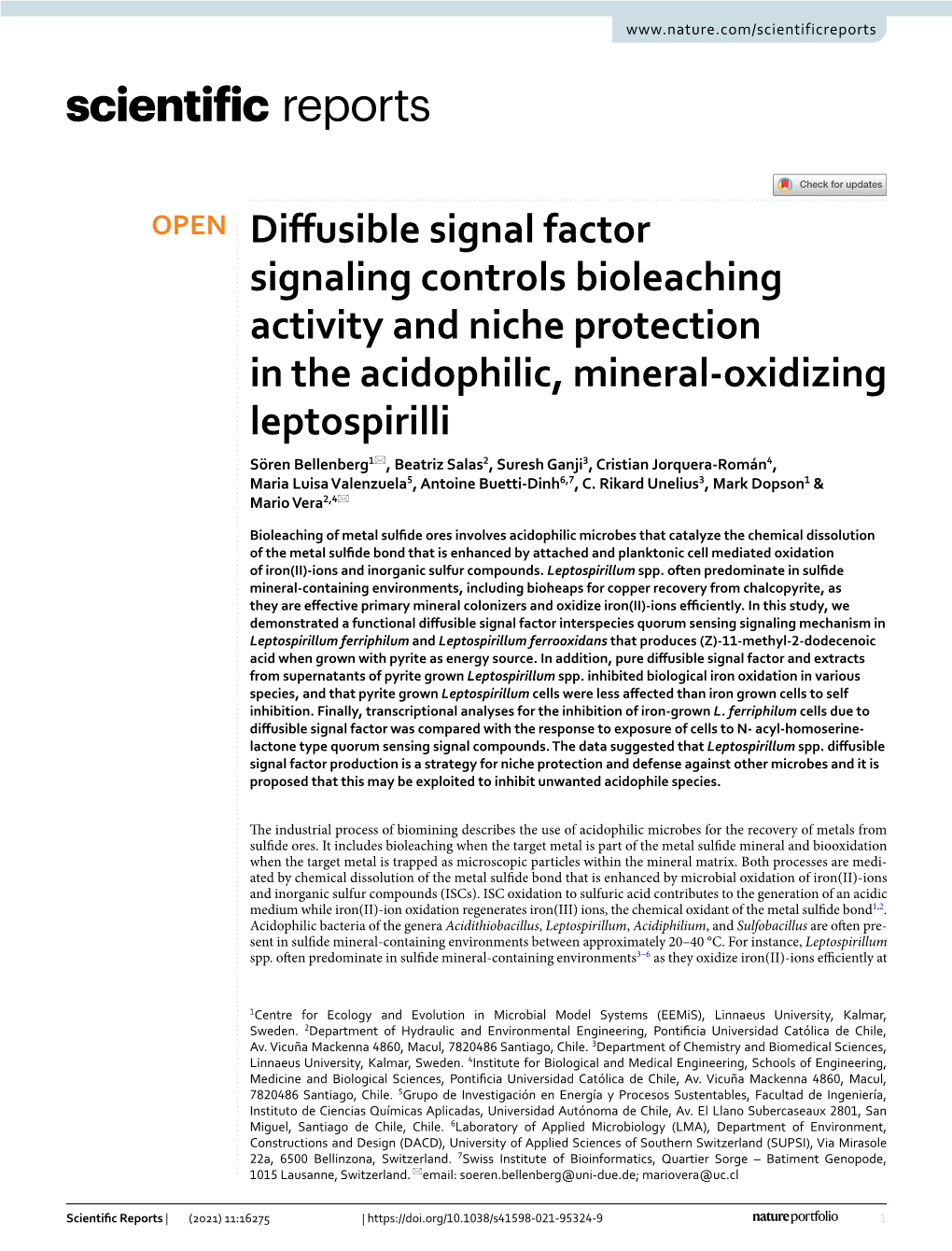 Diffusible Signal Factor Signaling Controls Bioleaching Activity And