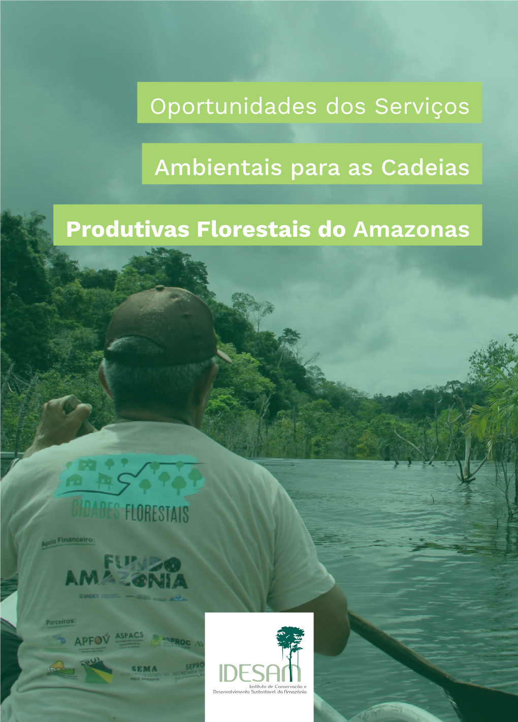 Oportunidades Dos Serviços Ambientais Para As Cadeias Produtivas Florestais Do Amazonas