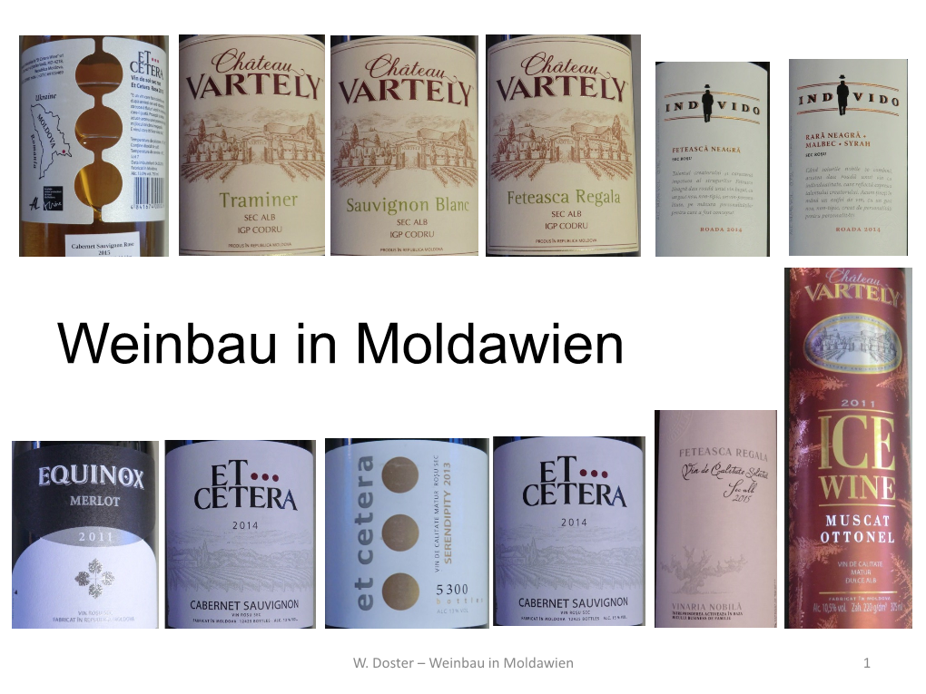 Weinbau in Moldawien