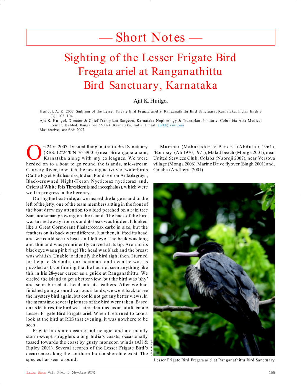 — Short Notes — Sighting of the Lesser Frigate Bird Fregata Ariel at Ranganathittu Bird Sanctuary, Karnataka