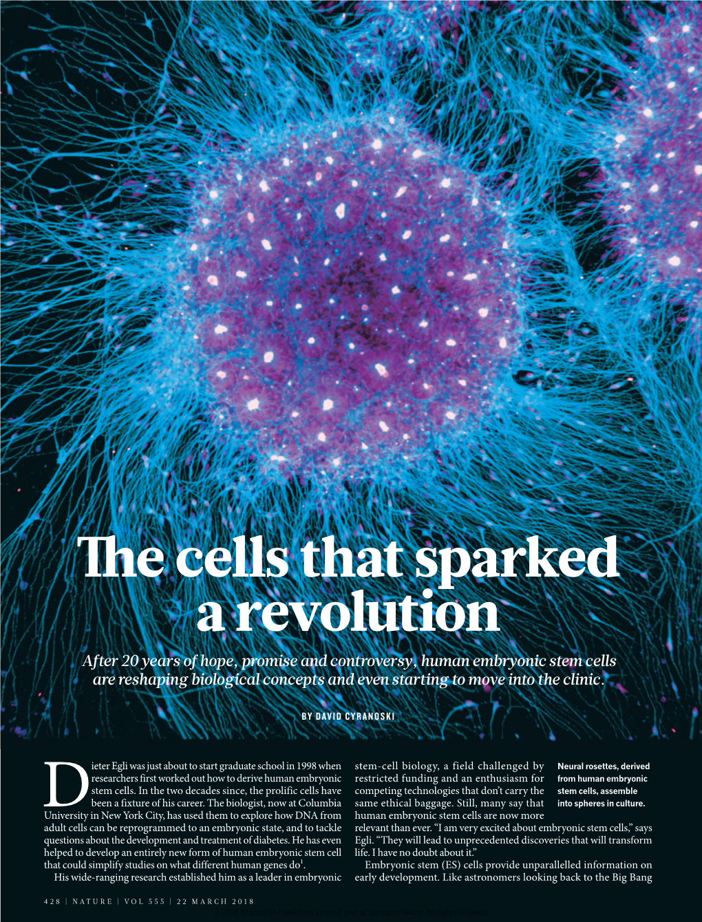 Stem Cells Are Reshaping Biological Concepts and Even Starting to Move Into the Clinic