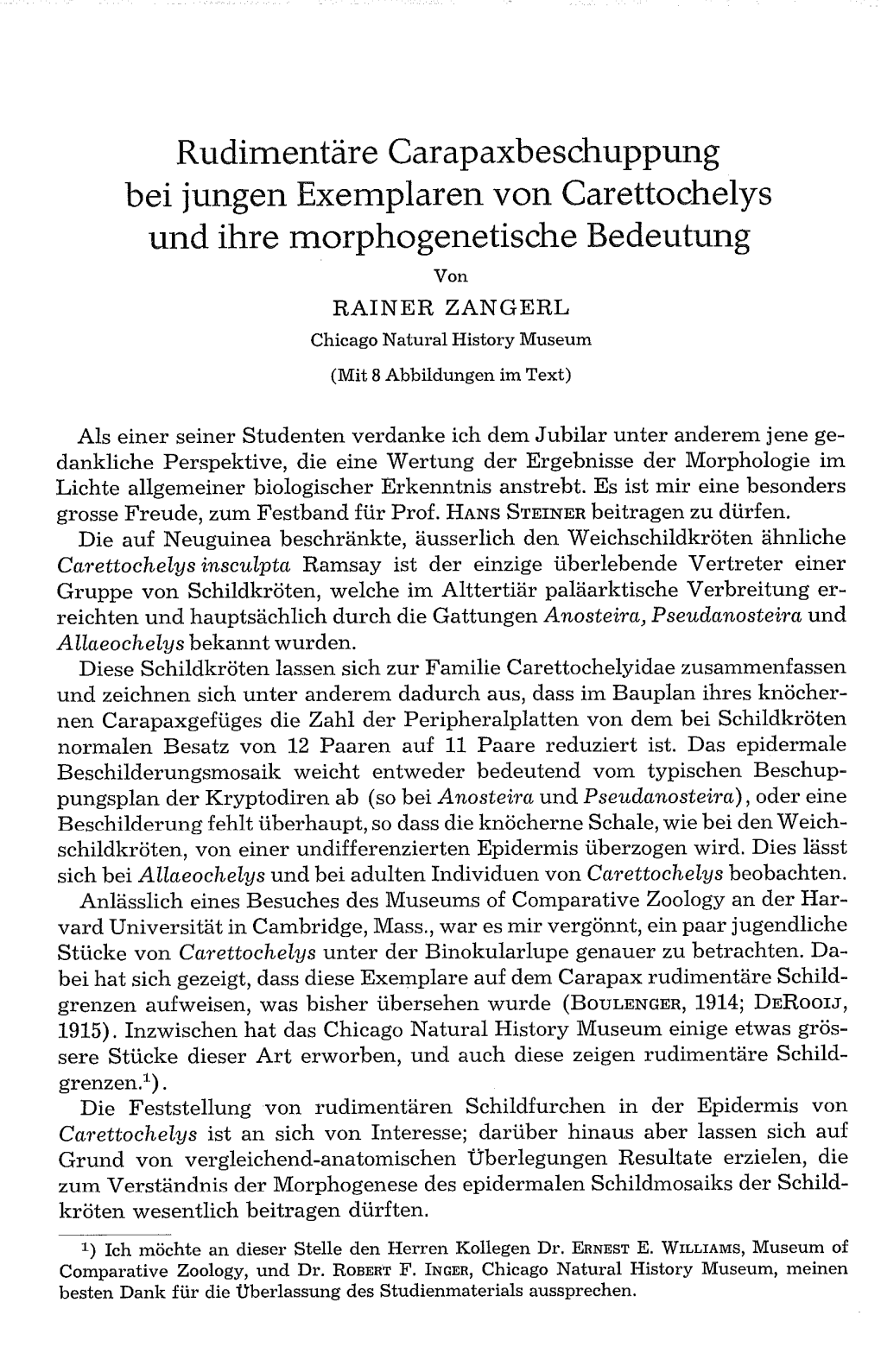 Rudimentäre Carapaxbeschuppung Bei Jungen Exemplaren Von Carettochelys Und Ihre Morphogenetische Bedeutung Von RAINER ZANGERL Chicago Natural History Museum