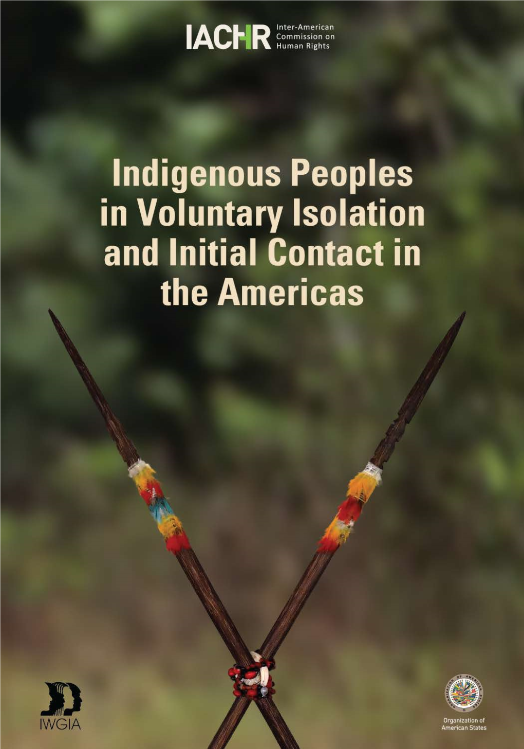 Voluntary Isolation and Initial Contact in the Americas: Recommendations for the Full Respect of Their Human Rights