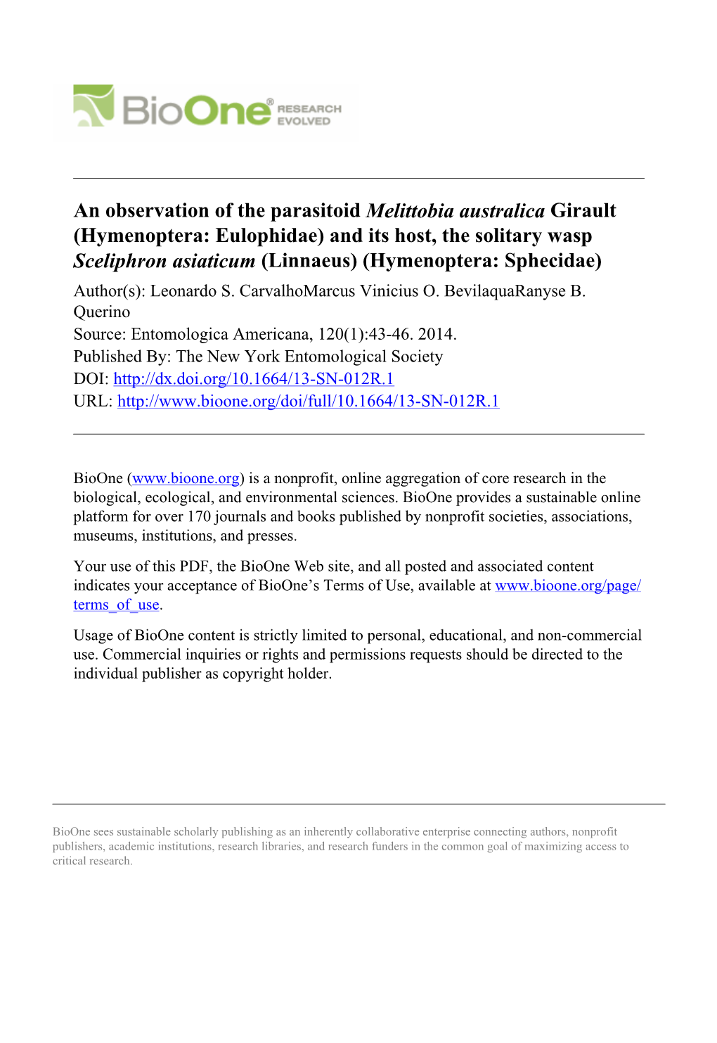 An Observation of the Parasitoid Melittobia Australica Girault