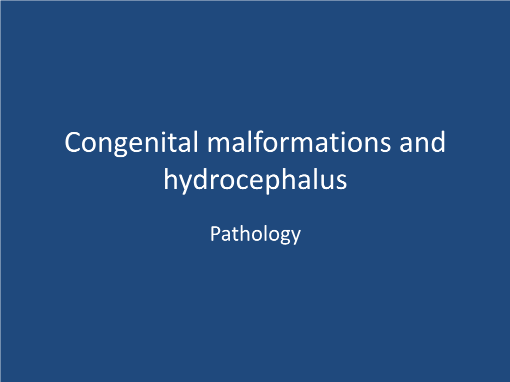 Congenital Malformations and Hydrocephalus