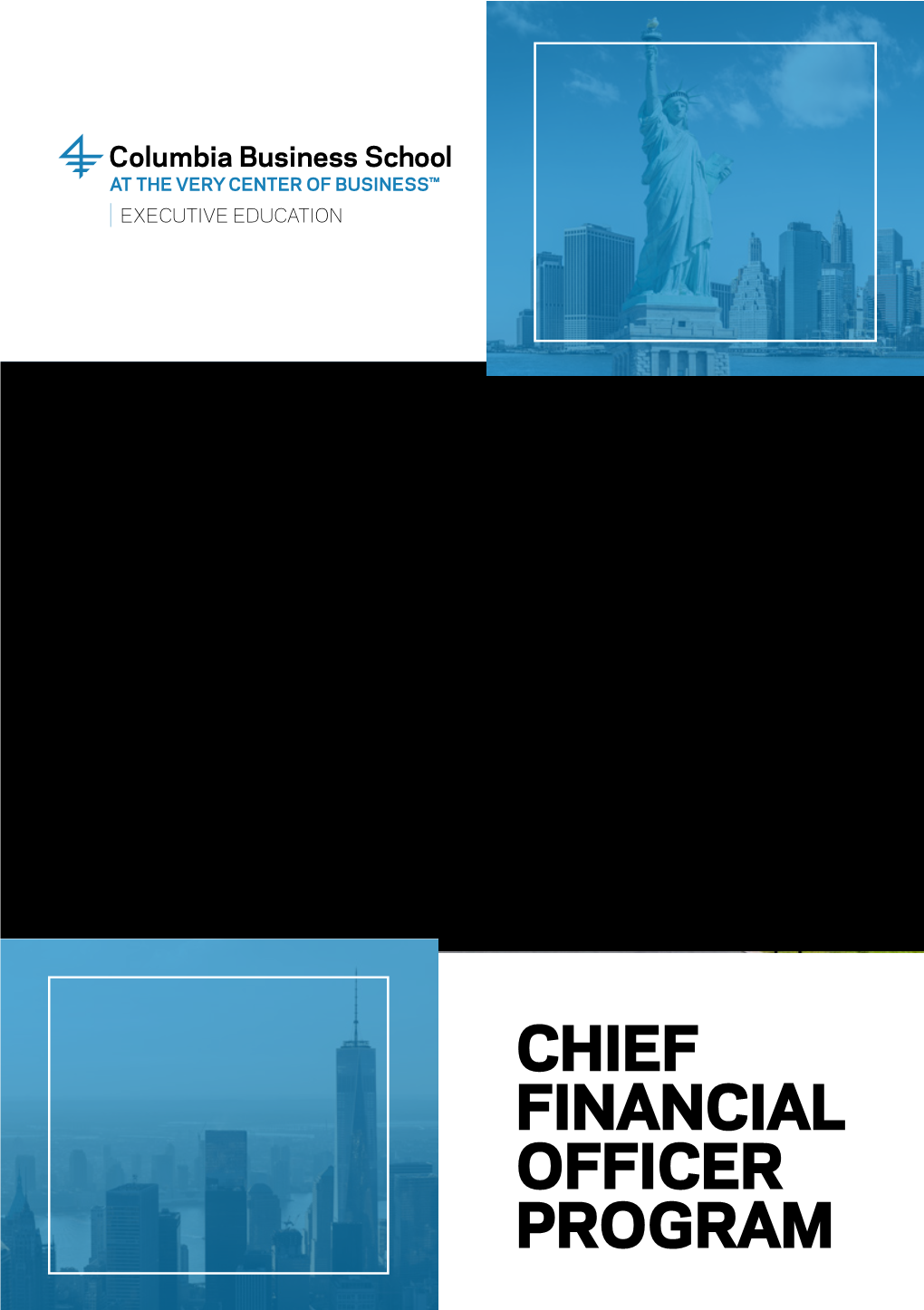 Chief Financial Officer Program
