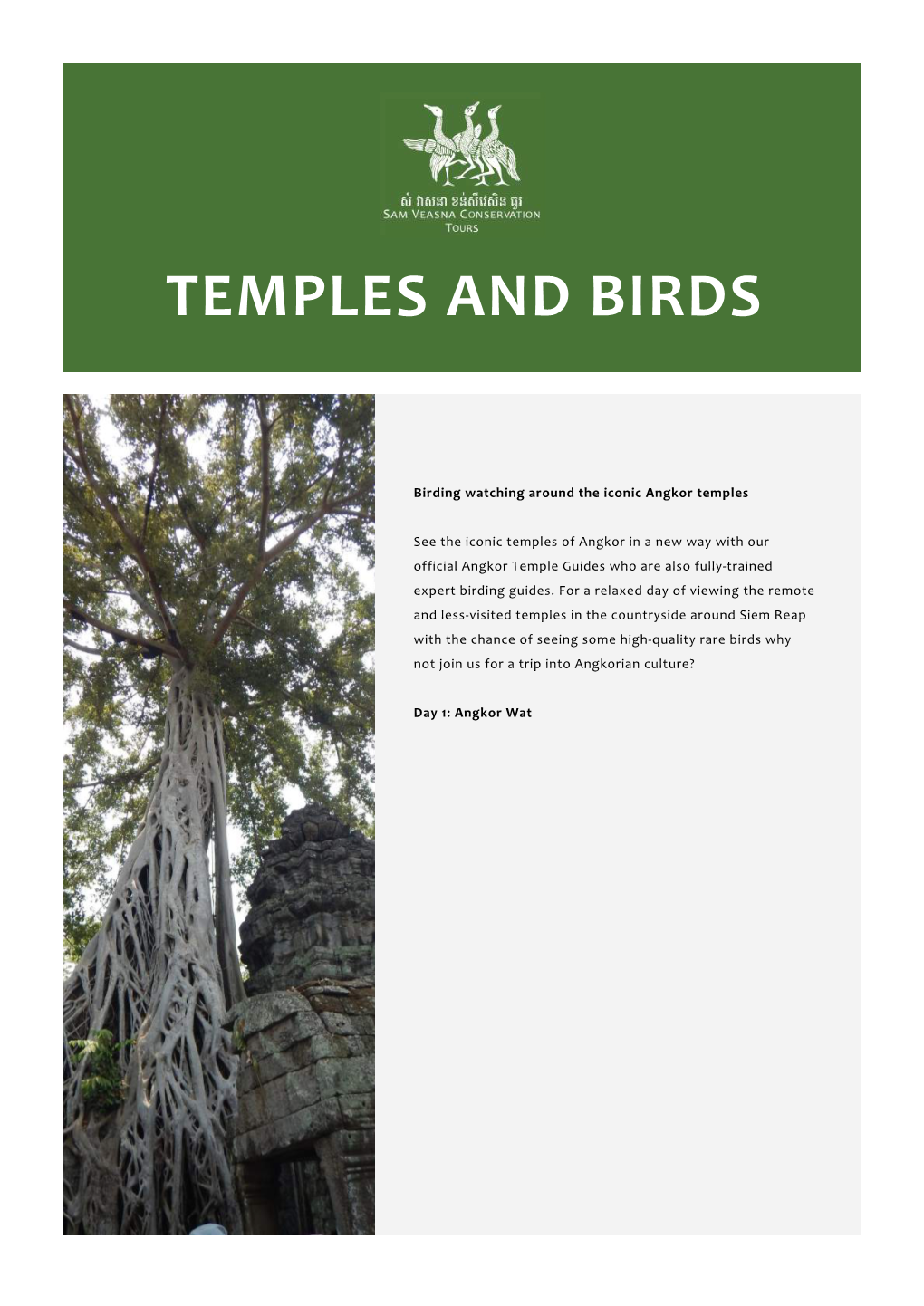 Temples and Birds SVC Brochure