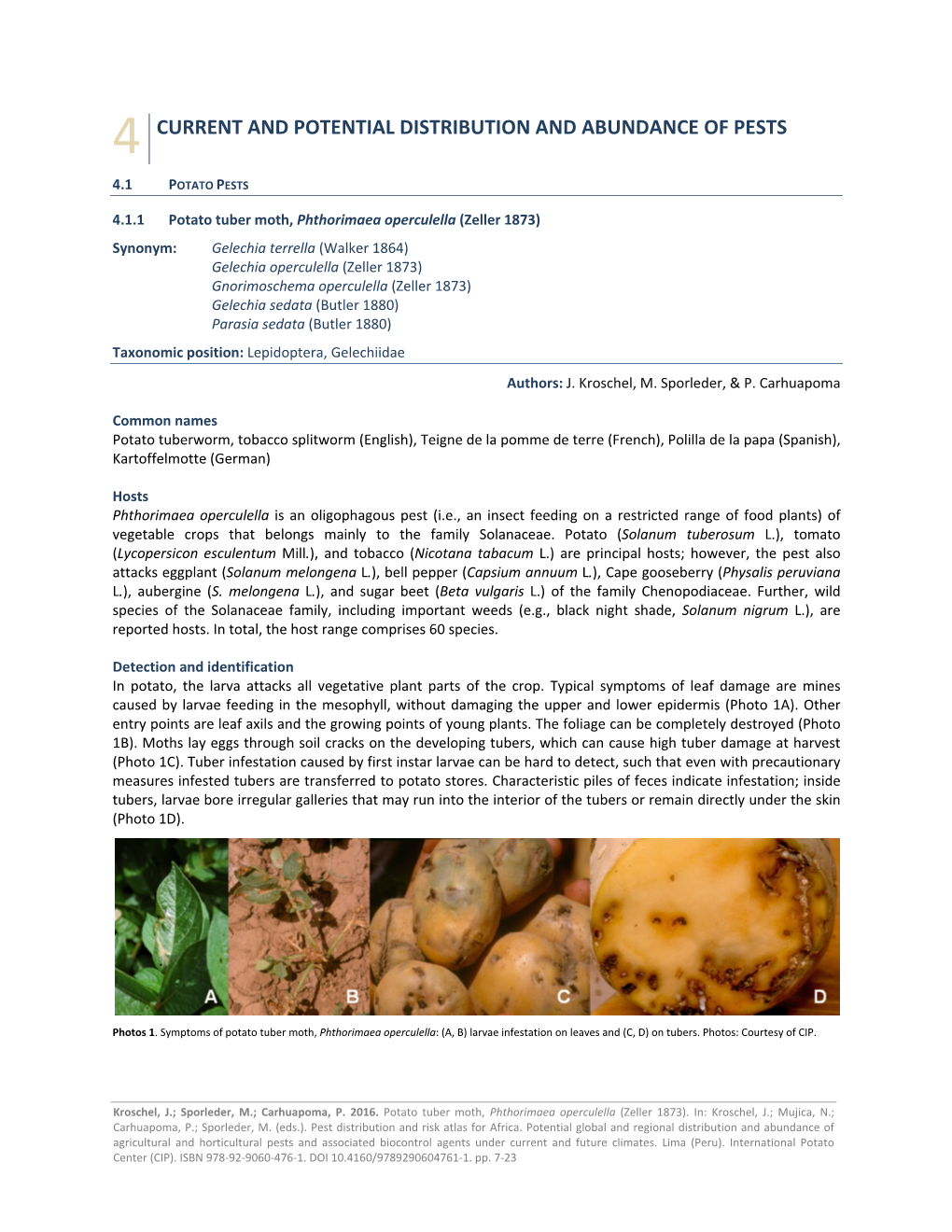 4 Current and Potential Distribution and Abundance of Pests 4.1 Potato Pests