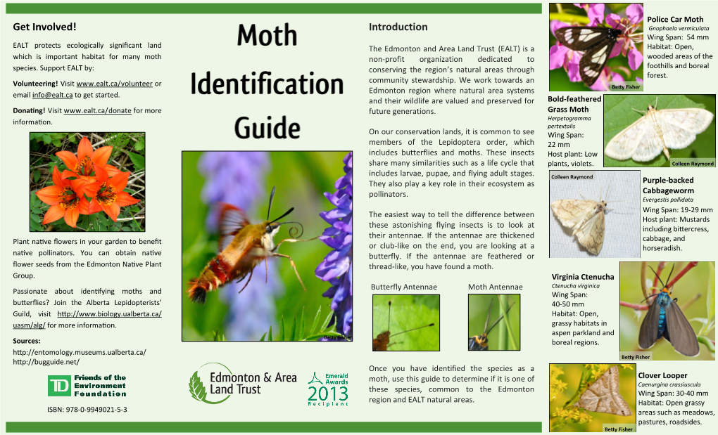 Moth ID Guide