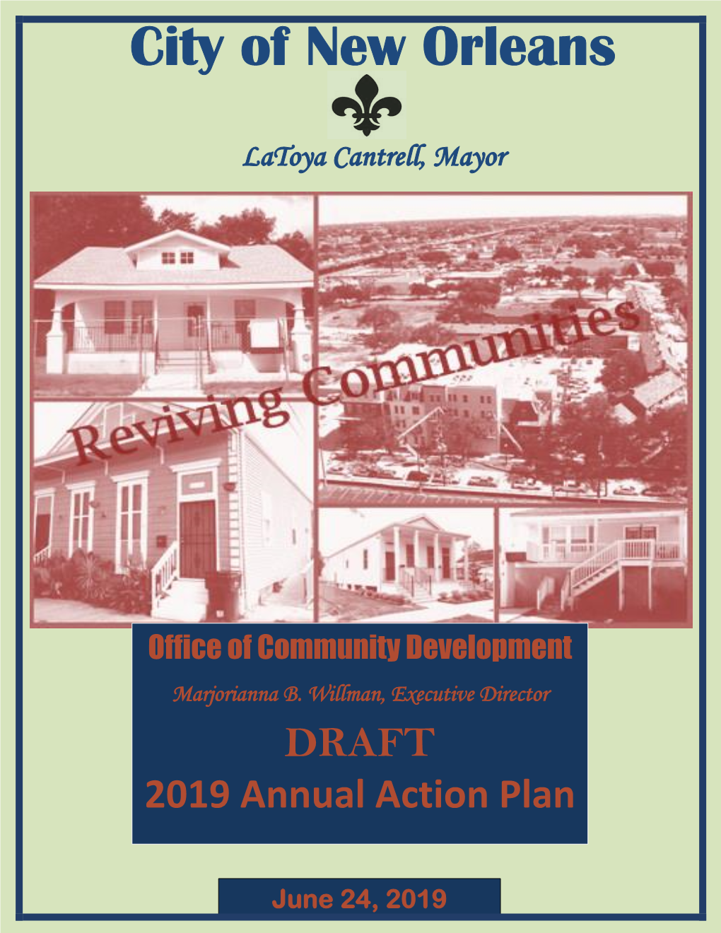 DRAFT 2019 Annual Action Plan