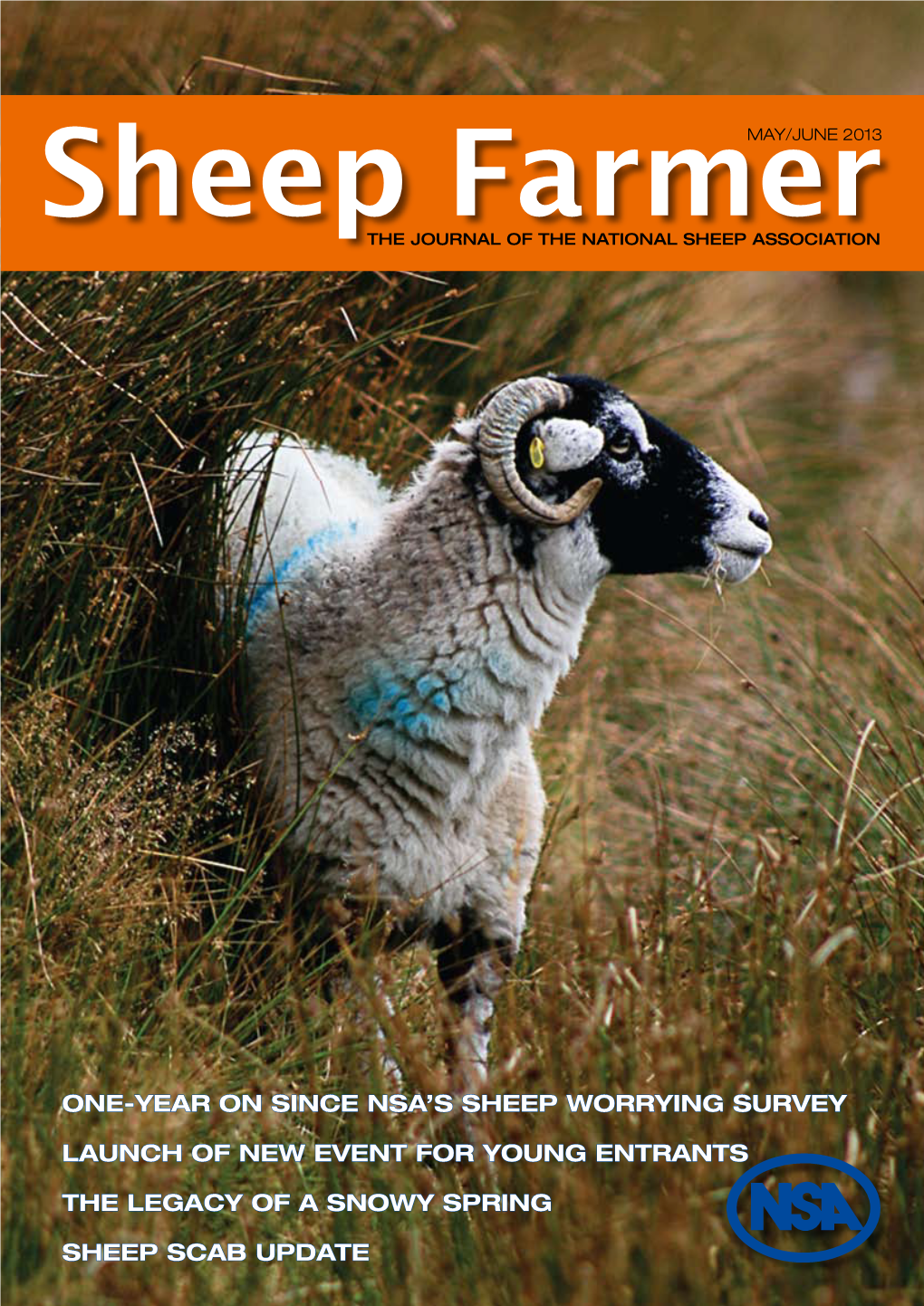 Sheep Farmermay/JUNE 2013 the JOURNAL of the NATIONAL SHEEP ASSOCIATION