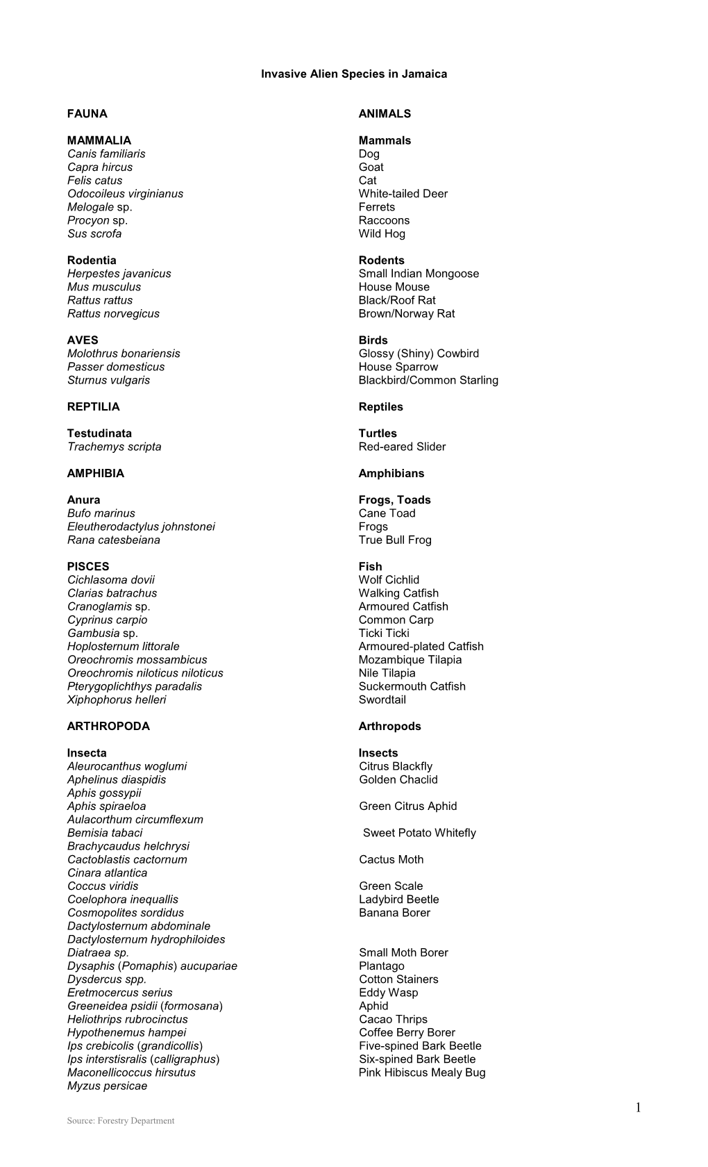 Invasive Alien Species in Jamaica FAUNA ANIMALS MAMMALIA