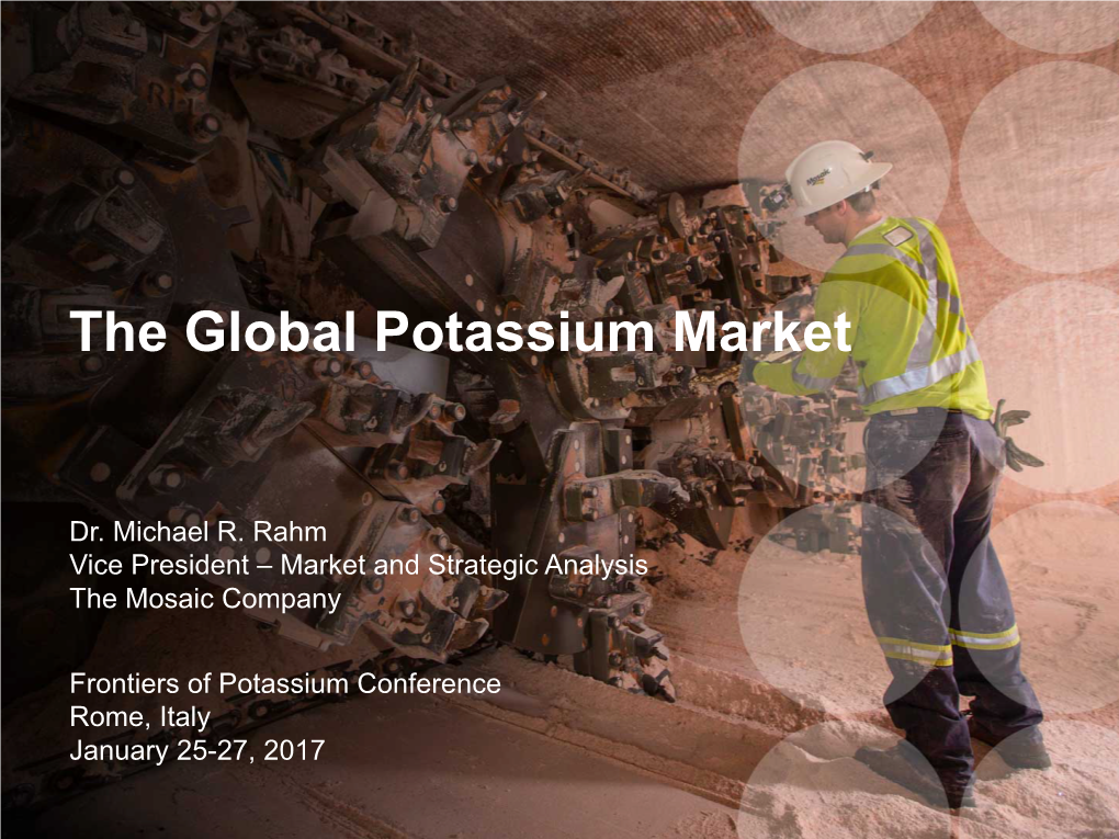 The Global Potassium Market