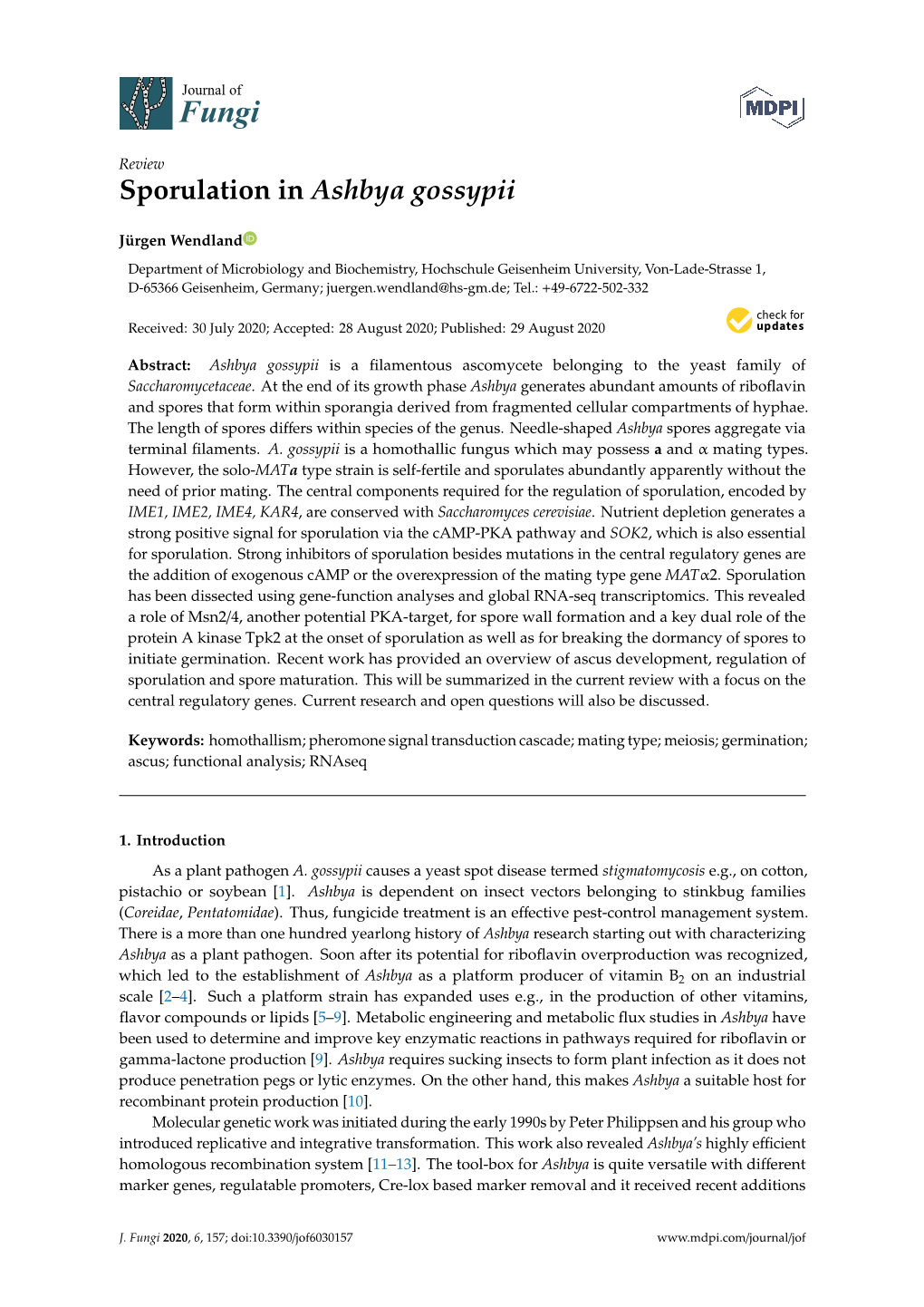 Sporulation in Ashbya Gossypii