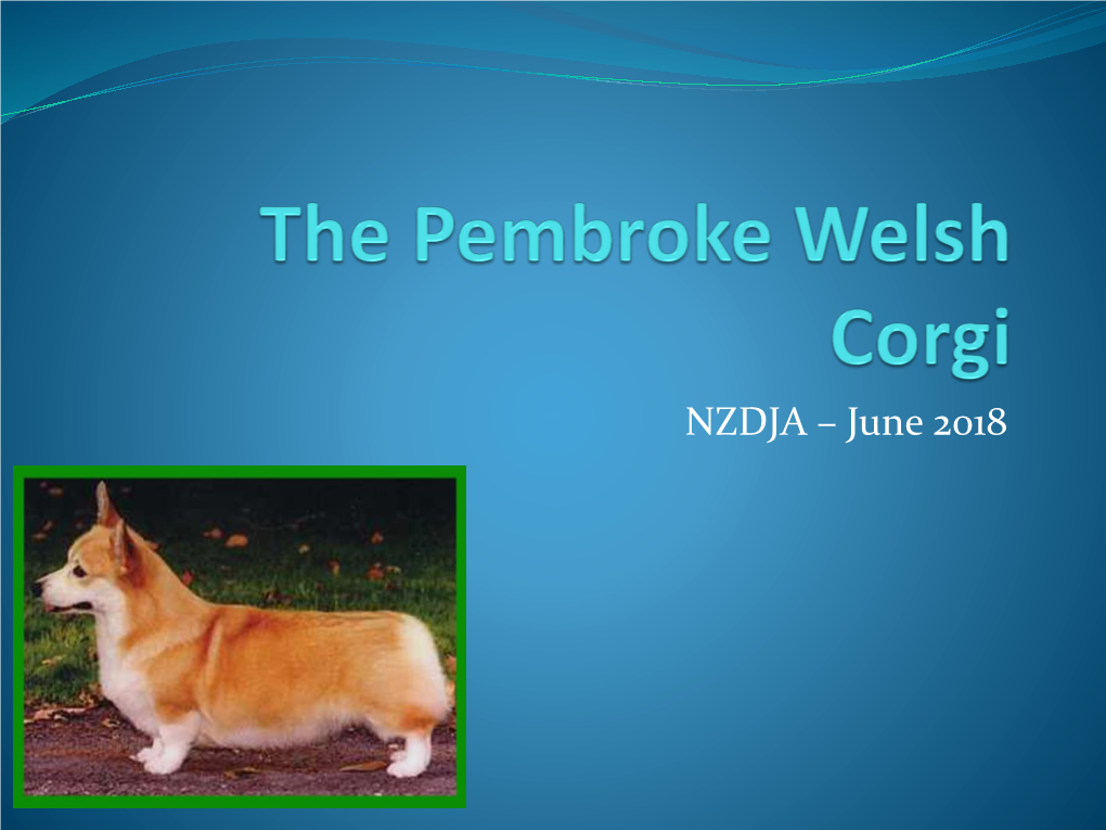The Pembroke Welsh Corgi