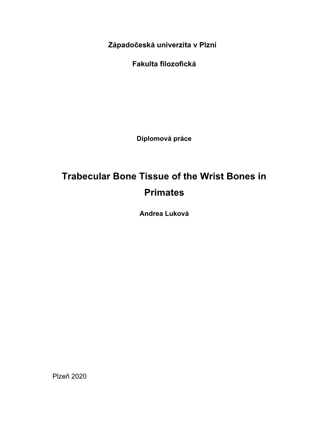 Trabecular Bone Tissue of the Wrist Bones in Primates