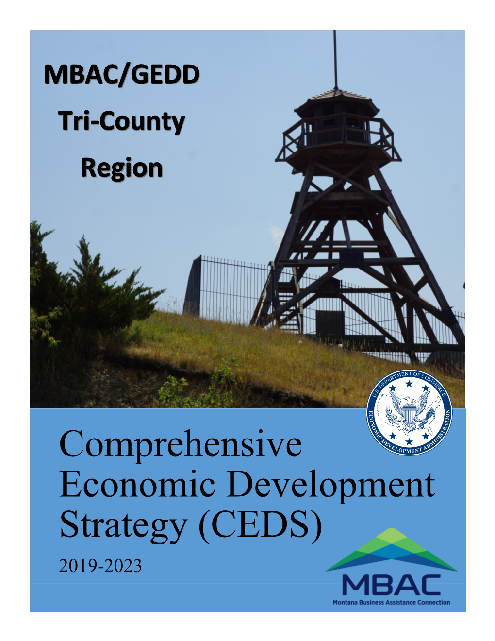 Comprehensive Economic Development Strategy (CEDS)
