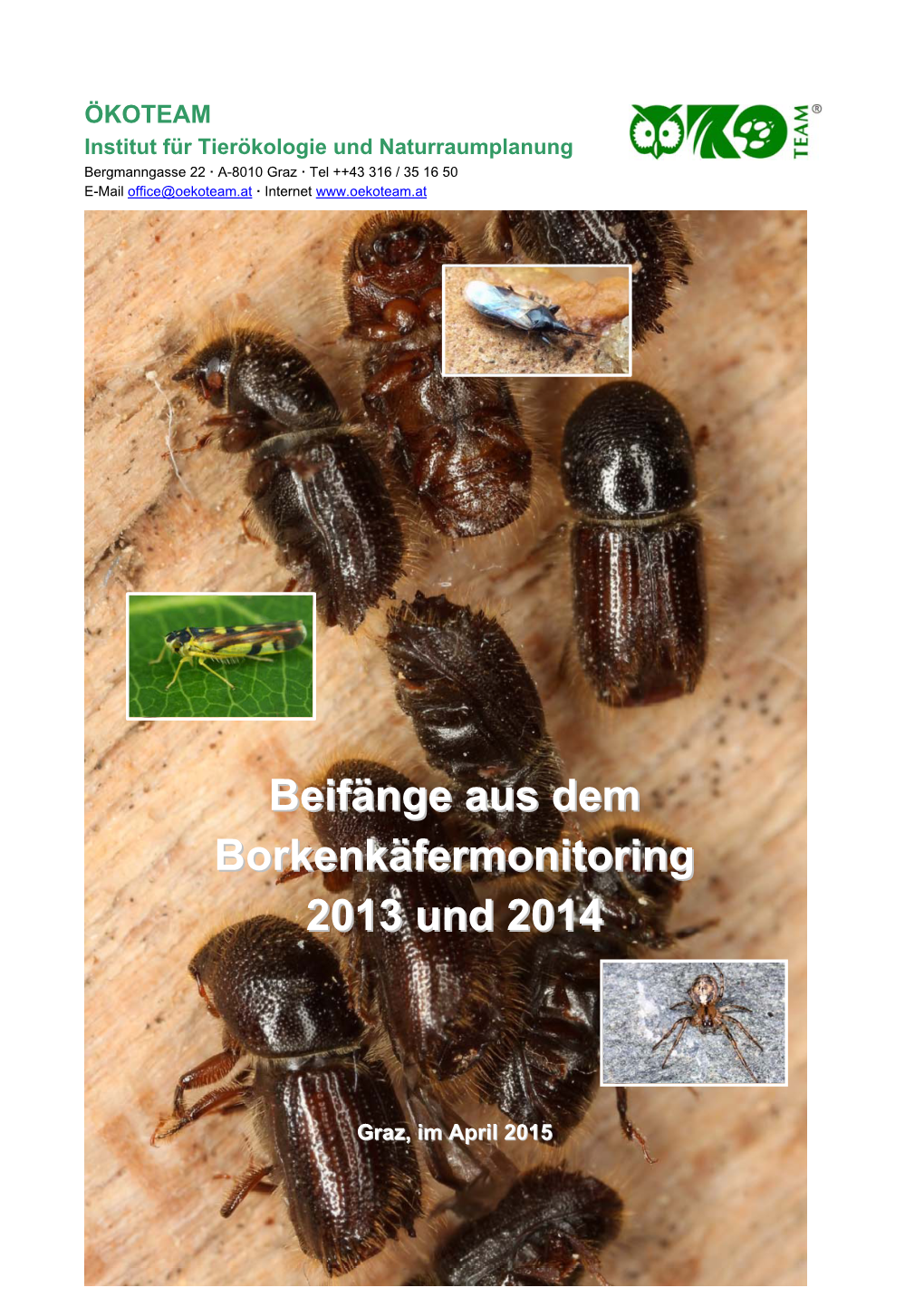 Beifänge Aus Dem Borkenkäfermonitoring 2013 Und