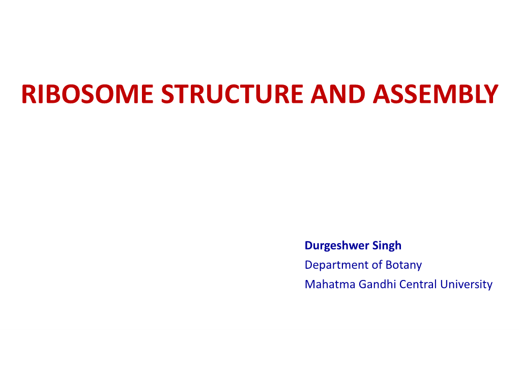 Ribosome Structure and Assembly