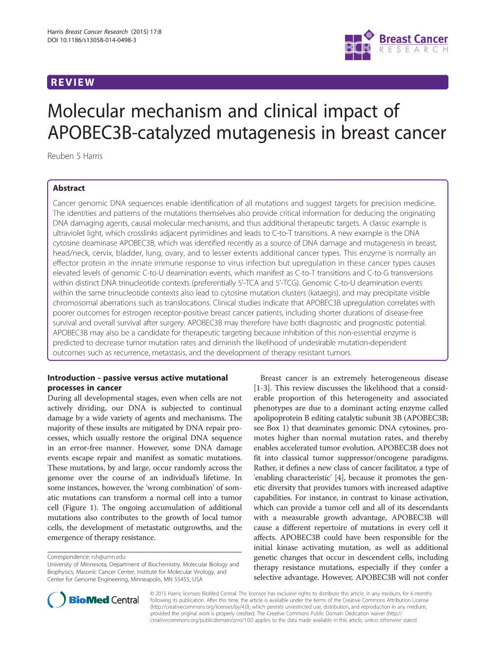 Molecular Mechanism and Clinical Impact of APOBEC3B-Catalyzed Mutagenesis in Breast Cancer Reuben S Harris