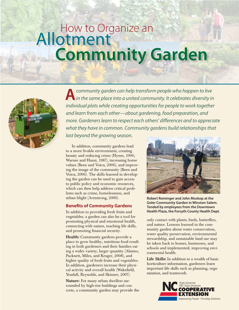 How to Organize an Allotment Community Garden