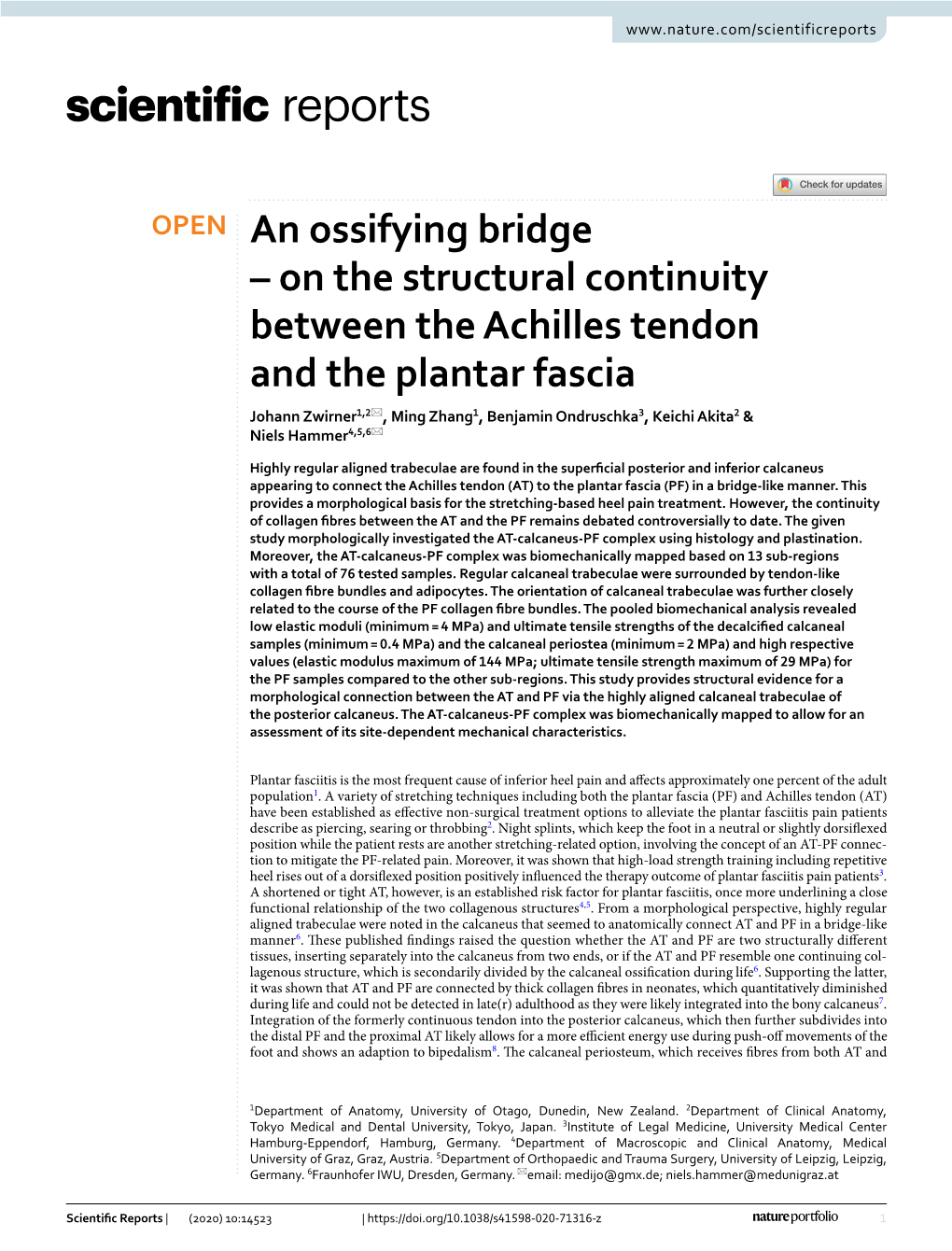 On the Structural Continuity Between the Achilles Tendon and the Plantar