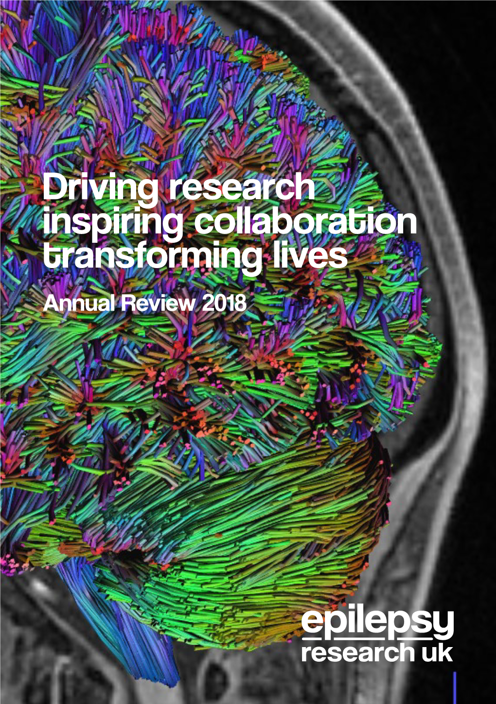 Driving Research Inspiring Collaboration Transforming Lives Annual Review 2018 Contents Foreword
