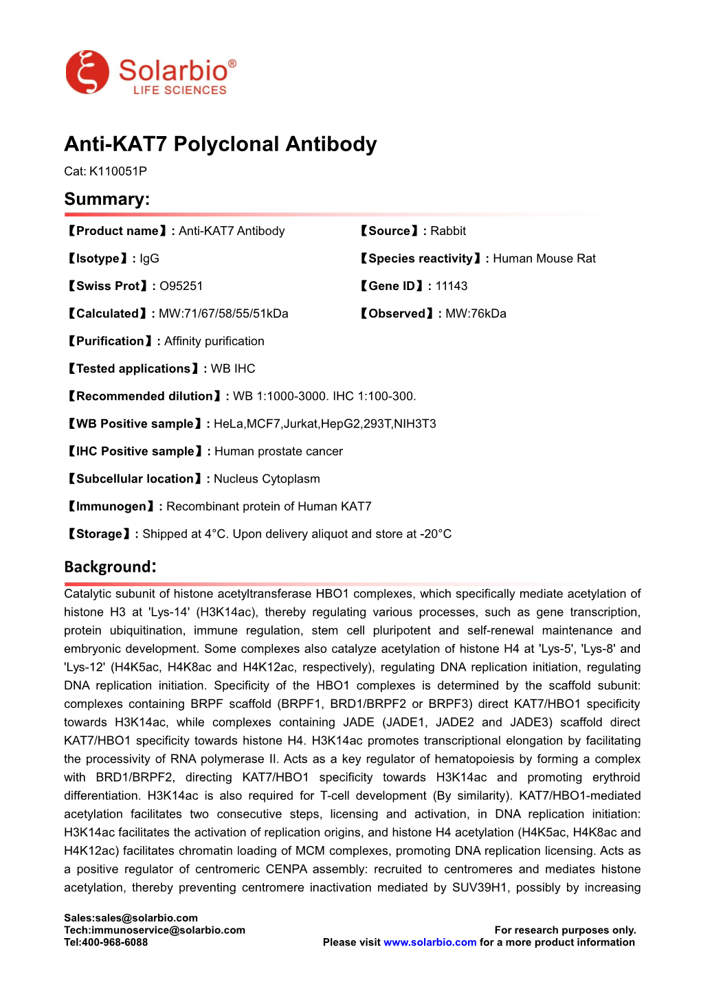 Anti-KAT7 Polyclonal Antibody Cat: K110051P Summary