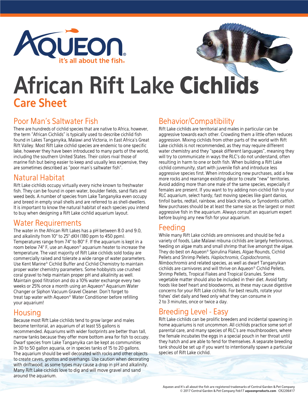 African Rift Lake Cichlids Care Sheet