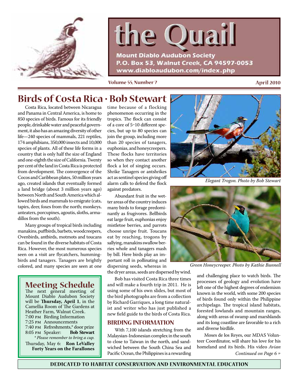 Birds of Costa Rica • Bob Stewart