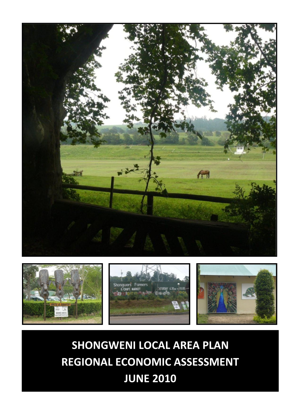 Shongweni Local Area Plan Regional Economic Assessment June 2010