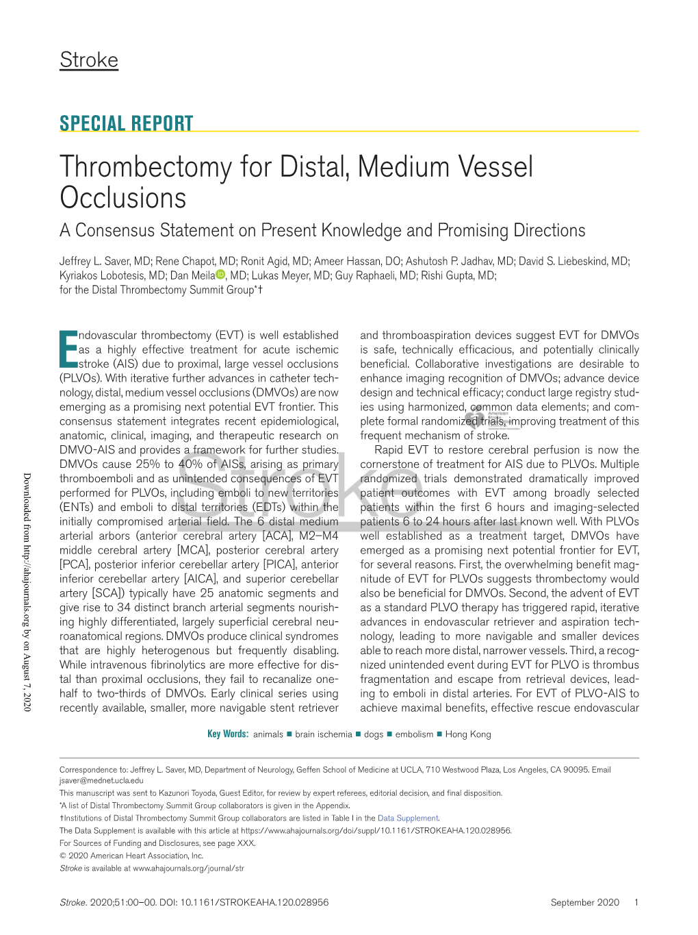 Thrombectomy for Distal, Medium Vessel Occlusions a Consensus Statement on Present Knowledge and Promising Directions