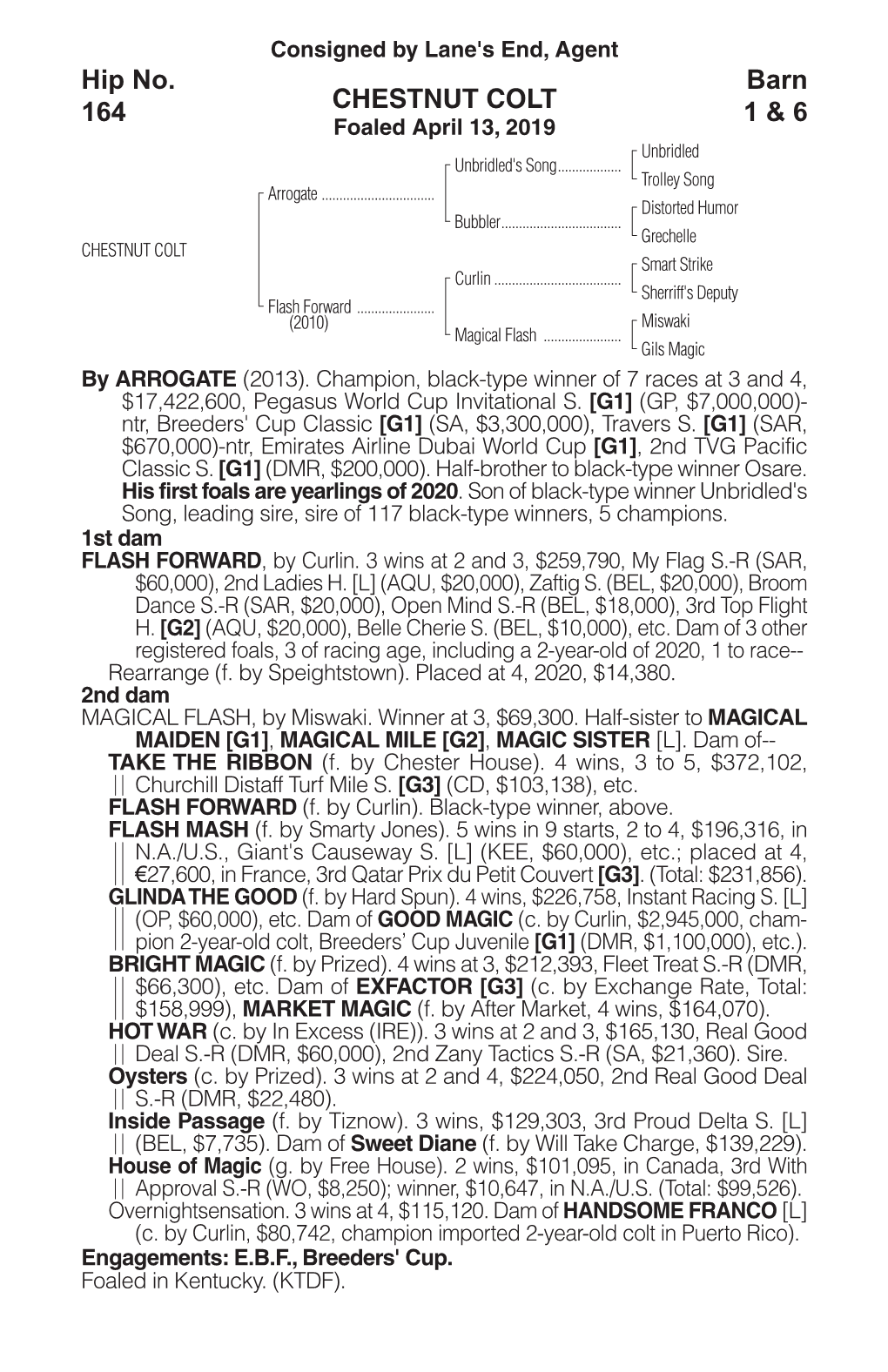 CHESTNUT COLT Barn 1 & 6 Hip No