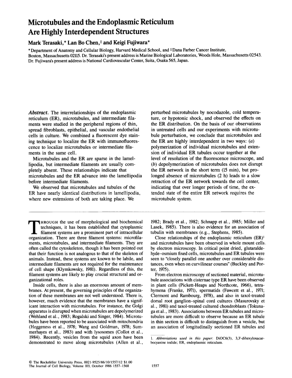 Microtubules and the Endoplasmic Reticulum Are Highly Interdependent Structures