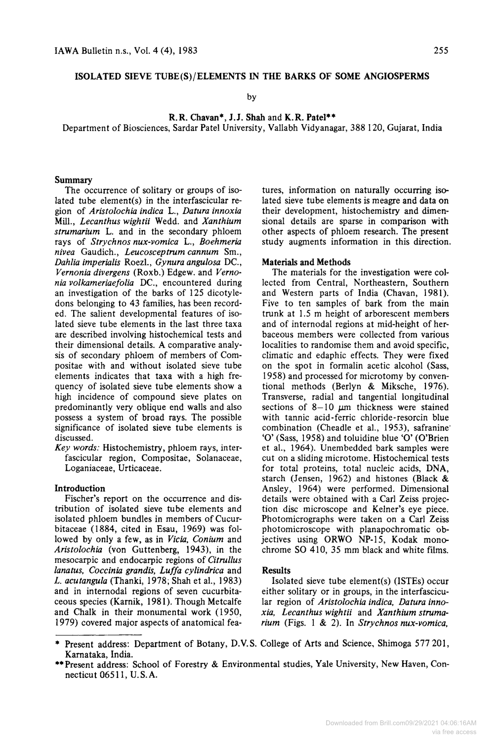 Isolated Sieve Tube (S)/Elements in the Barks of Some Angiosperms