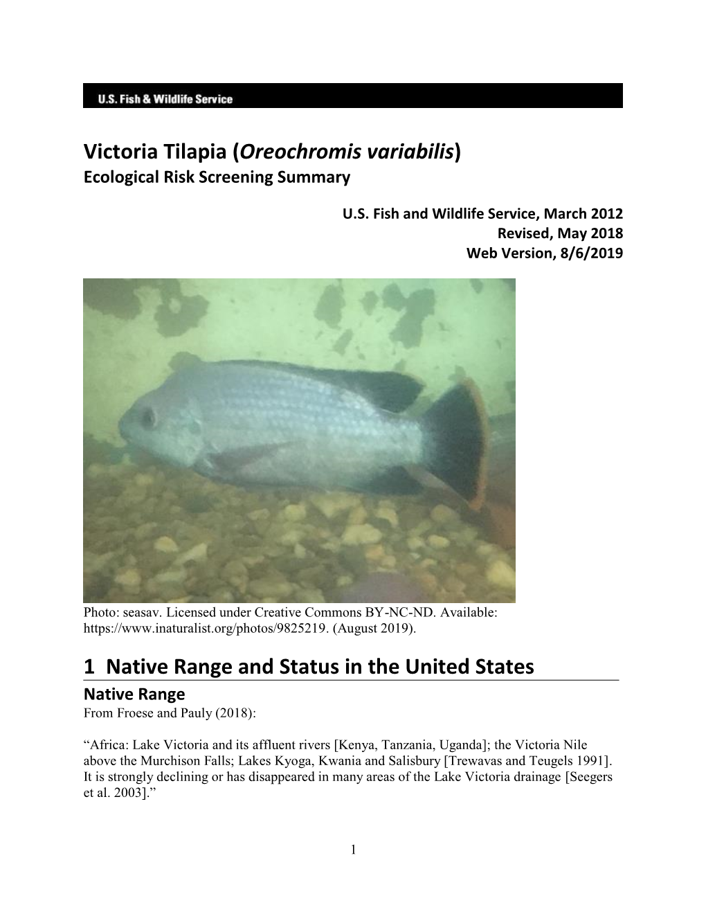 Oreochromis Variabilis) Ecological Risk Screening Summary